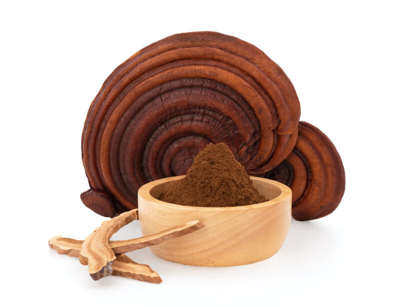 Ganoderma lucidum