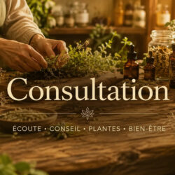 Consultation phytothérapie - Bilan approfondi