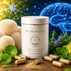 Boîte de NeuroBoost Pachamama Phyto entourée de feuilles de gotu kola, romarin, fleurs de rhodiole et champignons médicinaux, avec des gélules ouvertes laissant apparaître une poudre fine au premier plan, devant une illustration lumineuse représentant un cerveau et un réseau neuronal.