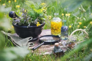 Consultation en phytothérapie avec plantes médicinales, macérats et approche globale du terrain