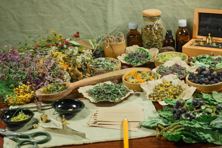 Plantes médicinales séchées et outils d’herboristerie illustrant la pratique moderne et rigoureuse de la phytothérapie chez Pachamama-phyto