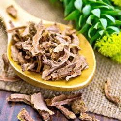 Rhodiola (poudre de racine) - Poudre