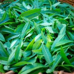 Verveine - Vrac