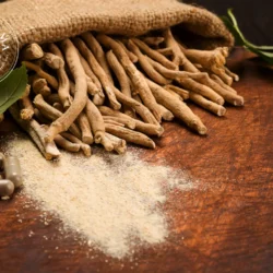 Ashwagandha - gélules
