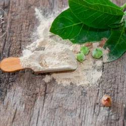 Ashwagandha - poudre