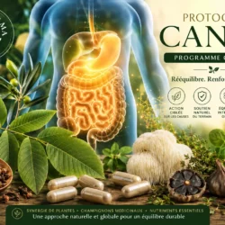 Illustration du Protocole Candy complet avec système digestif mis en lumière, feuilles de noyer, feuilles d’olivier, clous de girofle, héricium et gélules végétales pour le soutien du microbiote et de l’équilibre intestinal.